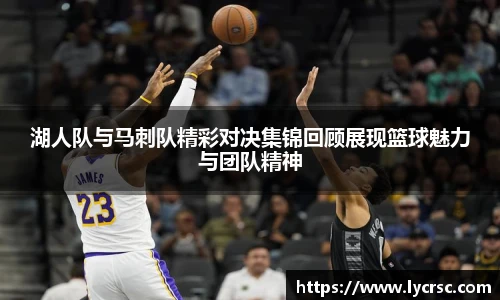 今年会官网登录入口