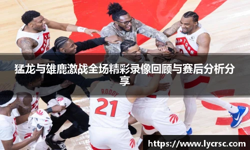 今年会官网登录入口