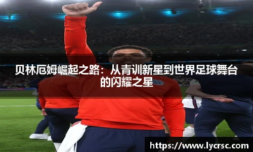 今年会官网