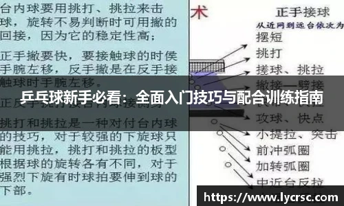 今年会平台入口